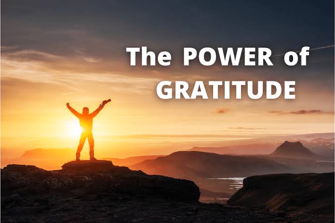The Power of Gratitude in Daily Life