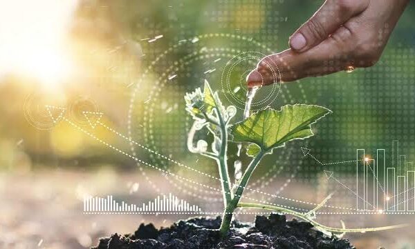 The Impact of Technology on Environmental Sustainability