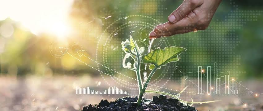 The Impact of Technology on Environmental Sustainability