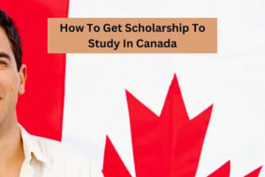 The Process of Applying for a Canadian Language Scholarship