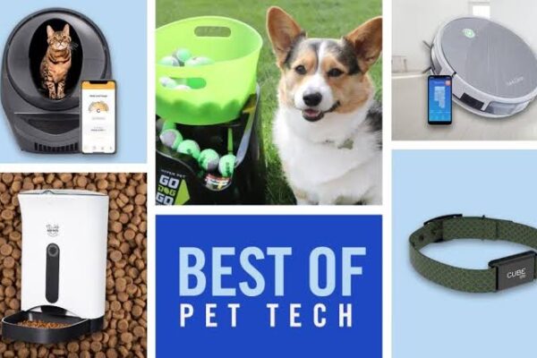 The Top Gadgets for Pet Owners and Animal Lovers