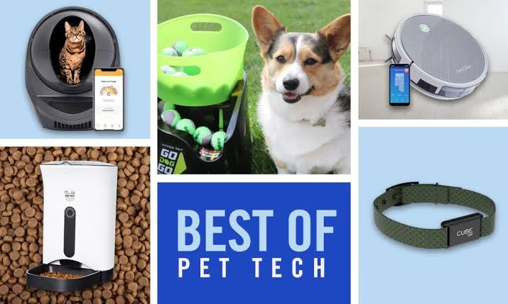 The Top Gadgets for Pet Owners and Animal Lovers