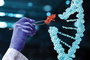 The Benefits and Risks of Using Gene Editing Technologies