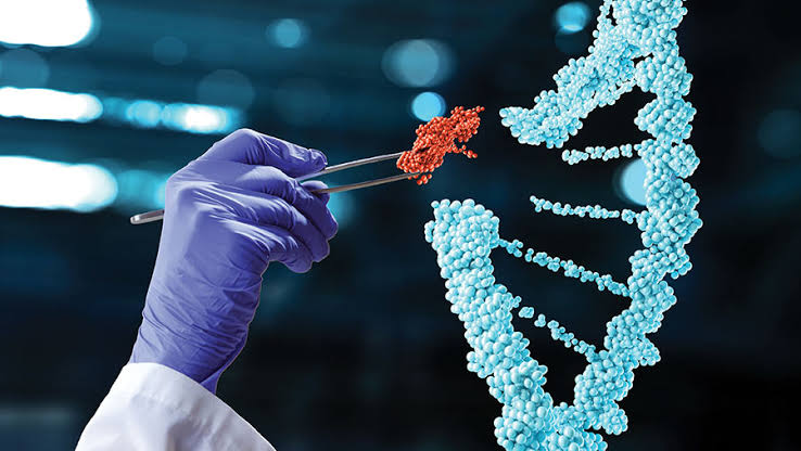 The Benefits and Risks of Using Gene Editing Technologies