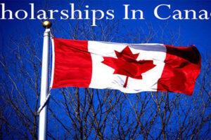 The Different Types of Scholarships Available in Canada