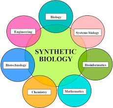 Understanding the Concept of Synthetic Biology and Its Applications