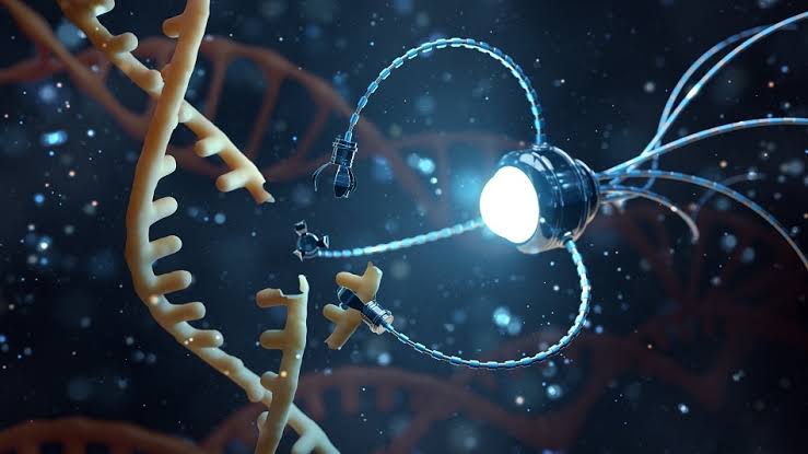 Understanding the Concept of Nanorobotics and Its Applications