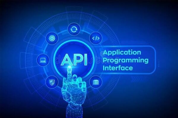 The Role of APIs in Software Development Process