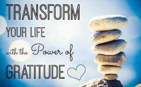 The Power of Gratitude and Appreciation