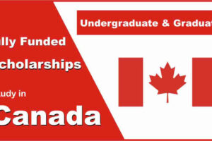 A Comparative Study of Canadian University Scholarships Programs Globally Today Canada Analysis