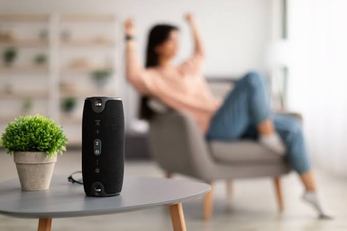 The Benefits of Using Portable Speakers for Events