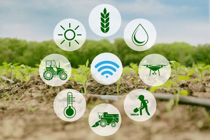 The Role of Internet of Things in Smart Agriculture
