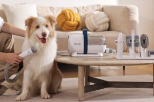 The Best Gadgets for Pet Owners and Care