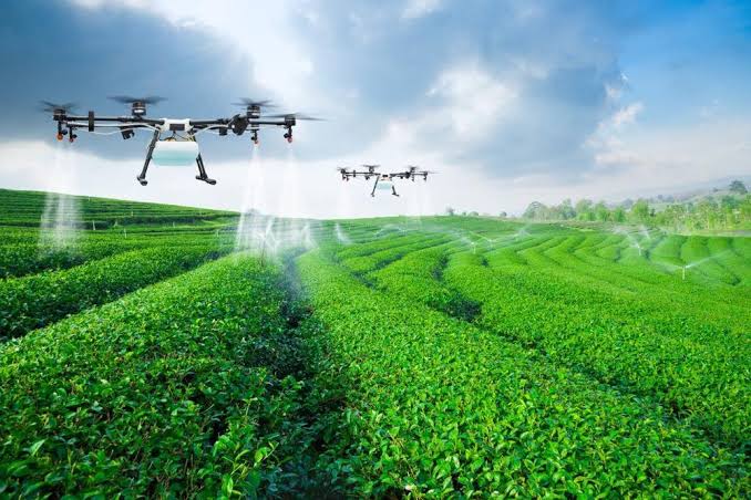 The Role of Drones in Precision Agriculture Practices
