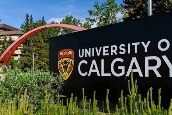 The Future of University of Calgary Scholarships for Research Purposes Globally Canada Today Benefits