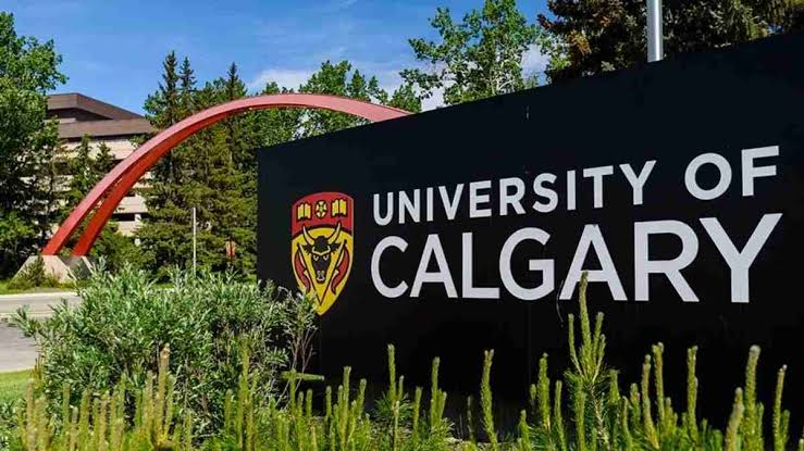 The Future of University of Calgary Scholarships for Research Purposes Globally Canada Today Benefits