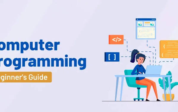 Understanding the Basics of Coding for Beginners